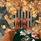 80 Denier Tights - Pumpkin Spice - Snag