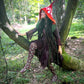 Toadstool